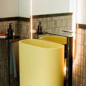 The Bella Column Basin